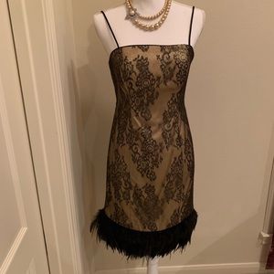 Ignite Evenings by Carol Linn Lace Feather Dress